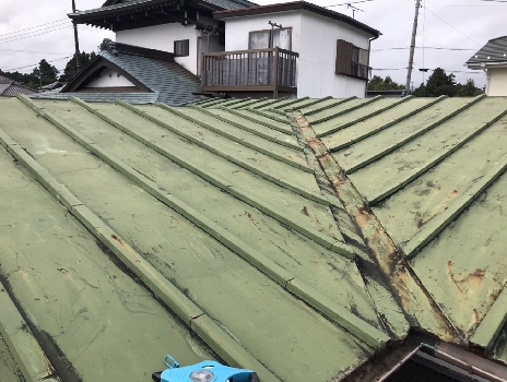 塗膜の剥がれ・コケ・カビ